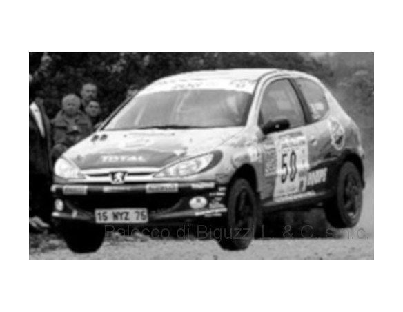 Ixo model RAM697 PEUGEOT 206 XS N.50 TERRE OF CADABELLES 2006 OGIER-INGRASSIA 1:43 Modellino