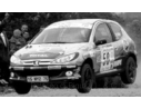 Ixo model RAM697 PEUGEOT 206 XS N.50 TERRE OF CADABELLES 2006 OGIER-INGRASSIA 1:43 Modellino