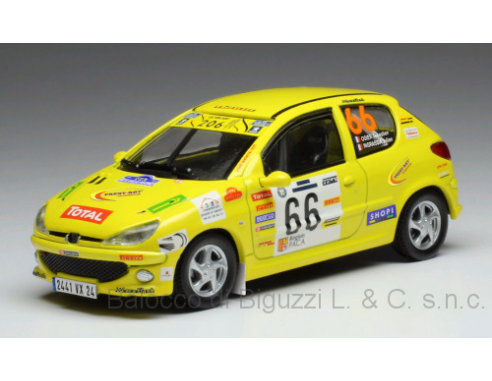 Ixo model RAM698 PEUGEOT 206 XS N.66 TERRE DE PROVENCE 2006 OGIER-INGRASSIA 1:43 Modellino