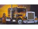 Ixo model TR043 PETERBILT 359 1980 MET.BROWN 1:43 Modellino