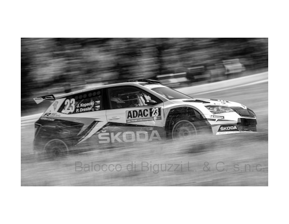 IXO MODEL RAM731 SKODA FABIA R5 EVO N.23 WRC2 RALLY GERMANY 2019 KOPECKY-DRESLER 1:43 Modellino