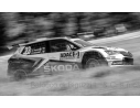 IXO MODEL RAM731 SKODA FABIA R5 EVO N.23 WRC2 RALLY GERMANY 2019 KOPECKY-DRESLER 1:43 Modellino