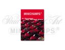 MINICHAMPS PMMCBK01 PASSION OF MODEL CARS VOL.1 PAG.160 Modellino