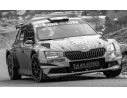 IXO MODEL RAM750 SKODA FABIA R5 EVO N.43 RALLY MONTE CARLO 2020 GINO-FAPPANI 1:43 Modellino