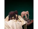 Amati 500/04 -  Woodline Art Elefante Grande Kit in Legno Modellino