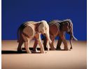 Amati 300/03 -  Woodline Art Elefante Piccolo Kit in Legno Modellino SCATOLA ROVINATA