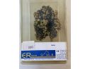 Erdecor 2392 Albero da Frutto con Fiore Giallo 10 cm 1 Pezzo SCATOLA ROVINATO