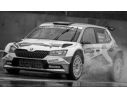 IXO MODEL RAM771 SKODA FABIA R5 EVO N.34 RALLY MONZA 2020 MIKKELSEN-SYNNEVAAG 1:43 Modellino
