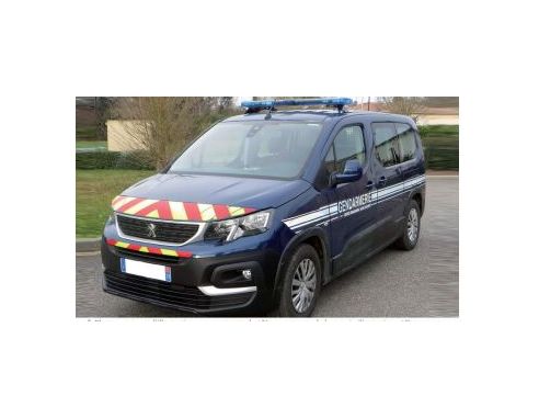 NOREV NV479063 PEUGEOT RIFTER 2019 GENDARMERIE 1:43 Modellino