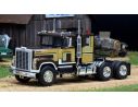 IXO MODEL TR142 INTERNATIONAL TRANSTAR 4300 1980 BROWN 1:43 Modellino