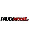 PAUDI MODEL