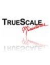 TRUE SCALE MINIATURES