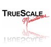 TRUE SCALE MINIATURES